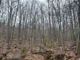 153 Acre Other - Photo 14