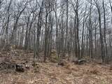 153 Acre Other - Photo 4