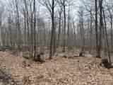 153 Acre Other - Photo 5