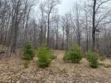 153 Acre Other - Photo 6