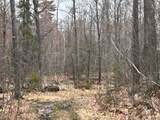 153 Acre Other - Photo 7