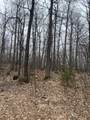 153 Acre Other - Photo 9