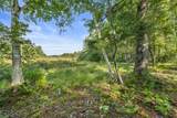 LOT 3 Pine Shore Ln - Photo 4