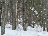 Lot #4 Allen Rd - Photo 6