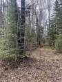 W9106 Popple Hill Rd - Photo 45