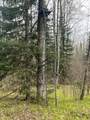 W9106 Popple Hill Rd - Photo 48