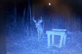W9106 Popple Hill Rd - Photo 52