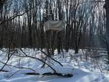ON Double Bend Rd - Photo 19