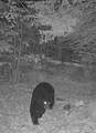 ON Double Bend Rd - Photo 23