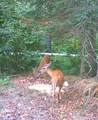 ON Double Bend Rd - Photo 25