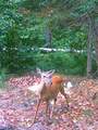 ON Double Bend Rd - Photo 26