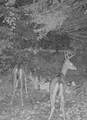 ON Double Bend Rd - Photo 27