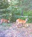 ON Double Bend Rd - Photo 30