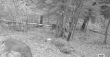 ON Double Bend Rd - Photo 32