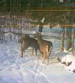 ON Double Bend Rd - Photo 33