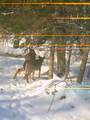 ON Double Bend Rd - Photo 34