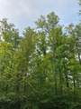 ON Ison Rd - Photo 3