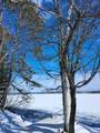 N10428 Solberg Lake Rd W - Photo 15