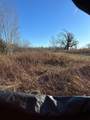 20 acres Cloverland Rd - Photo 5
