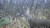 20 acres Cloverland Rd - Photo 6