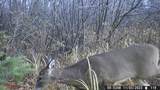 20 acres Cloverland Rd - Photo 9