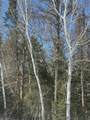 ON Burrows Lake Rd - Photo 1