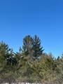 ON Burrows Lake Rd - Photo 1