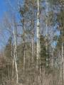ON Burrows Lake Rd - Photo 1