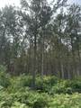 ON Lee Rd - Photo 1