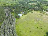 3565 Deerskin Rd - Photo 42