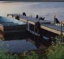 11466 Cth M - Photo 20