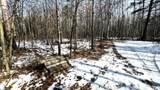 1616 Pine View Ln - Photo 8