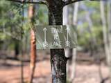 7066 Bass Lake Rd - Photo 32
