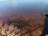 1146 Catfish Lake Rd - Photo 17