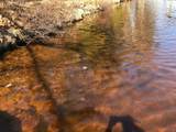 1146 Catfish Lake Rd - Photo 9