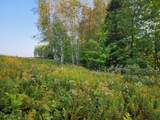 10 ac ON Sipple Rd - Photo 2
