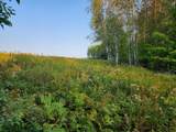10 ac ON Sipple Rd - Photo 3