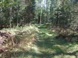 N15671 Evergreen Rd - Photo 15