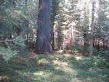 N15671 Evergreen Rd - Photo 16