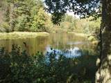 N15671 Evergreen Rd - Photo 2