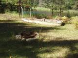 N15671 Evergreen Rd - Photo 4