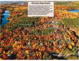 Lot 1 Forest Ln - Photo 1
