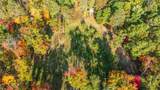 Lot 2 Forest Ln - Photo 8