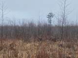 ON Shauger Rd - Photo 4