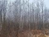 ON Shauger Rd - Photo 6