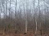 ON Shauger Rd - Photo 2