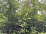 ON Maple Ridge Rd - Photo 5
