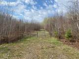 ON Wilson Lake Rd - Photo 1