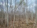 ON Wilson Lake Rd - Photo 7