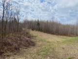 NEAR Wilson Lake Rd - Photo 3